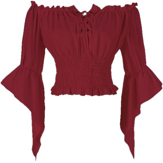 르네상스 중세 귀족 의상 여성 빈티지 블라우스 레트로  - Off Shoulder Blouse 리뷰 및 가격