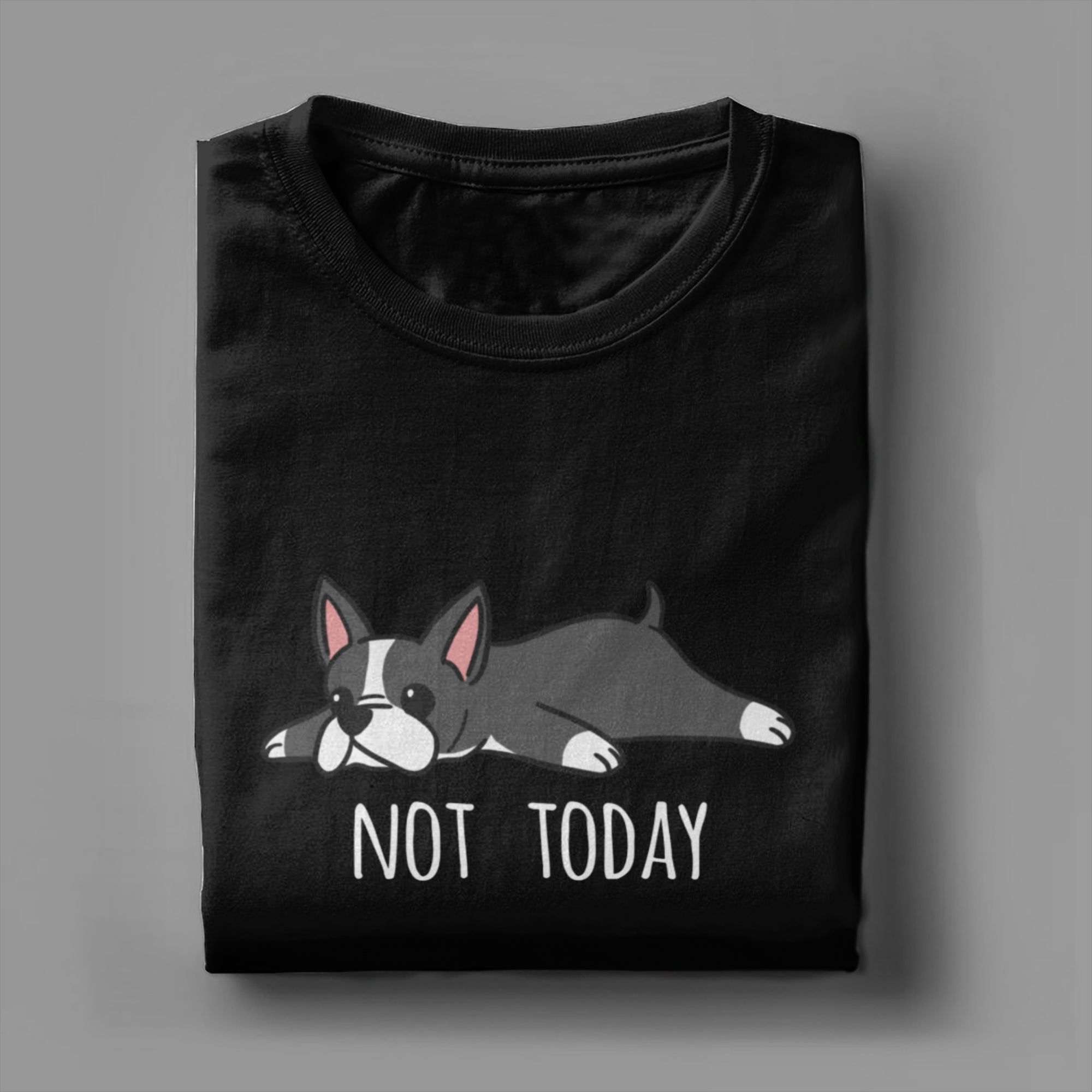 재미있는 Not Today 보스턴 테리어 개 남성 티셔 - Summer Clothing Ideas 리뷰 및 가격